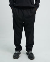 Pleated Trousers