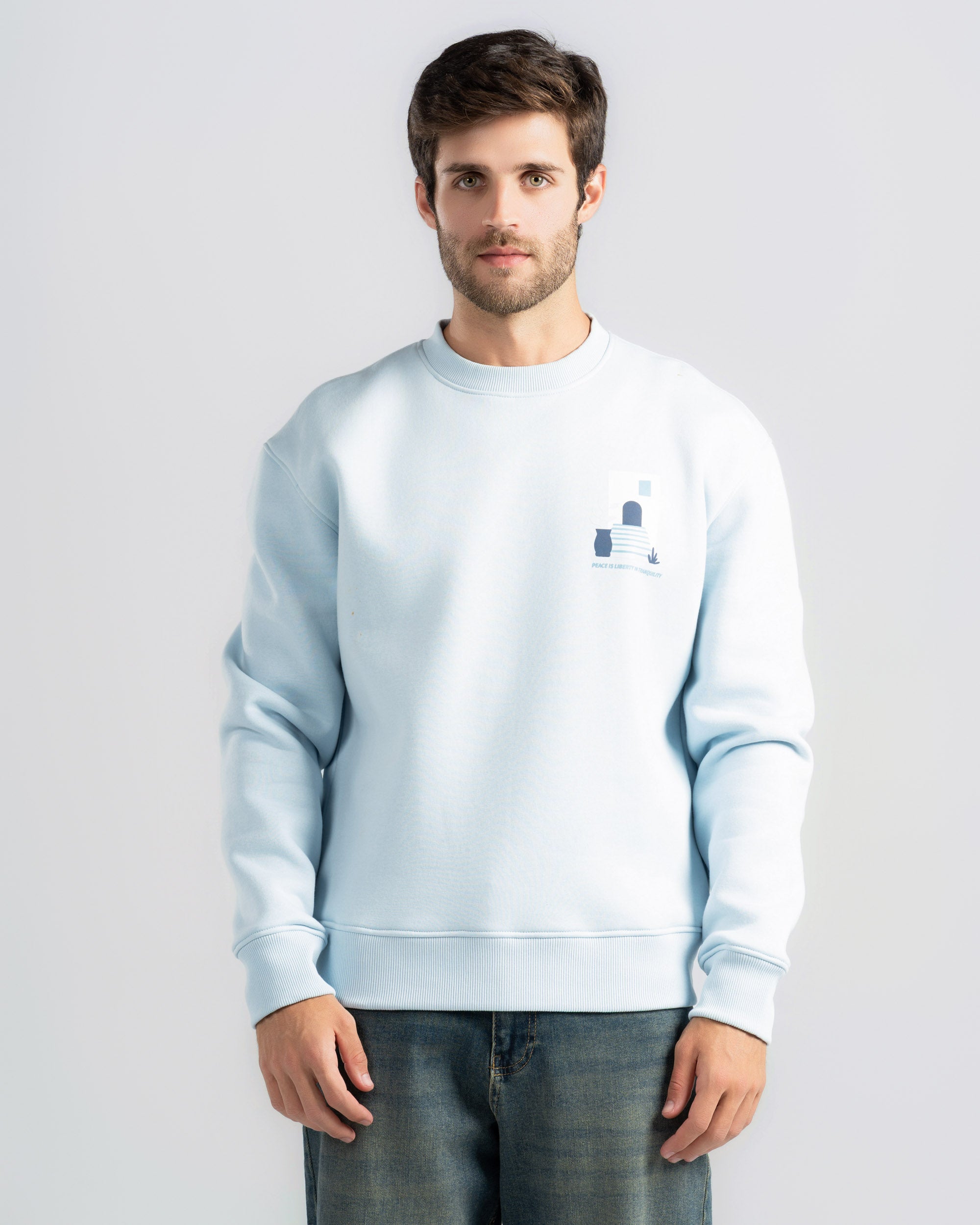 Print Crowneck Sweatshirt