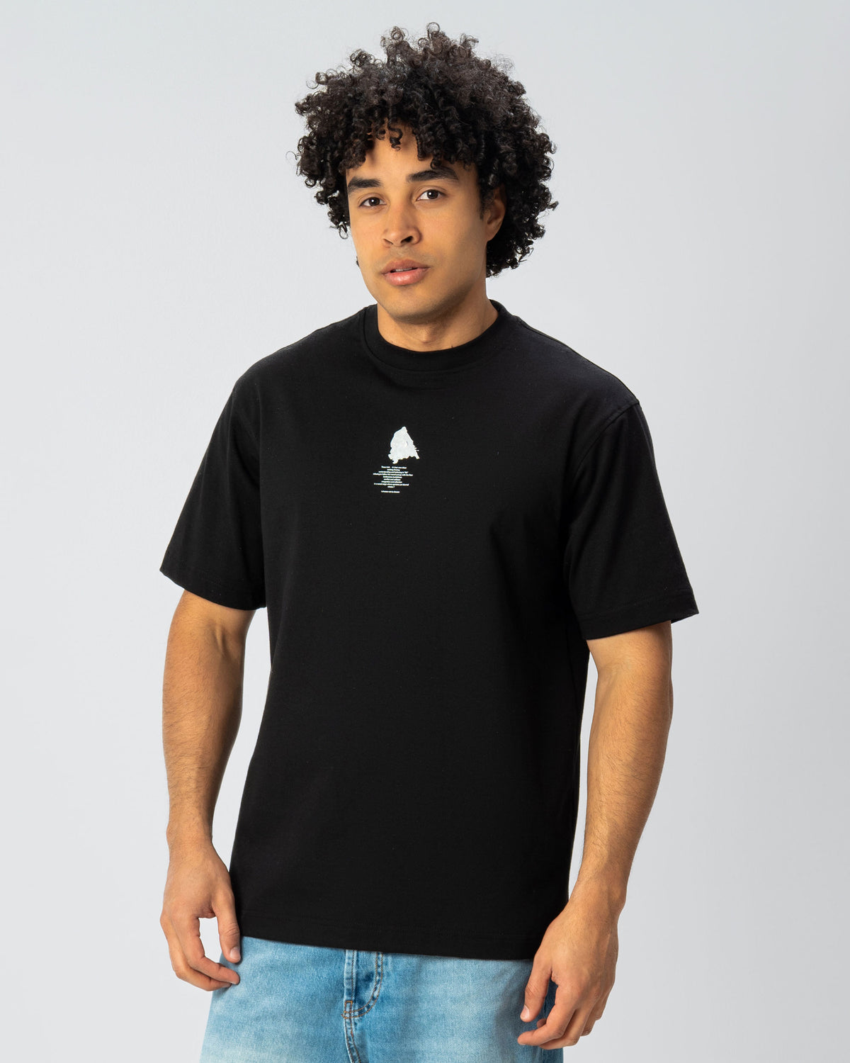 Printed Regular Fit T.shirt with Seam Detail